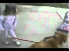 Little Girl Plays Fetch the Hard Way